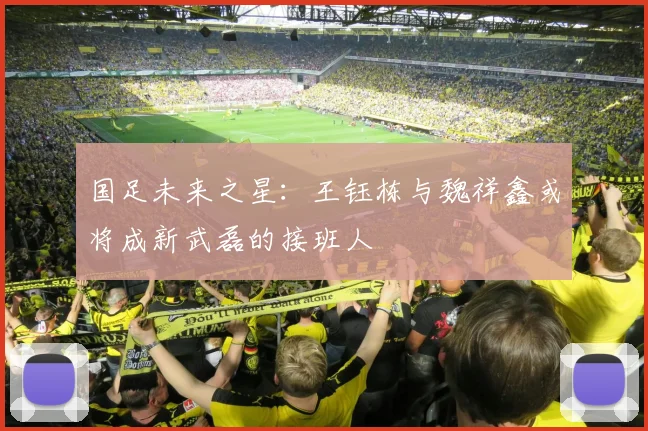 国足未来之星：王钰栋与魏祥鑫或将成新武磊的接班人